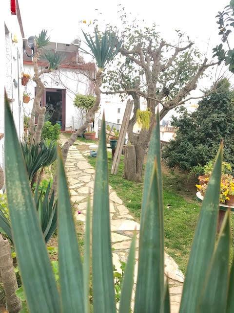 Hostal Casa Torrent Canyet de Mar Exterior foto